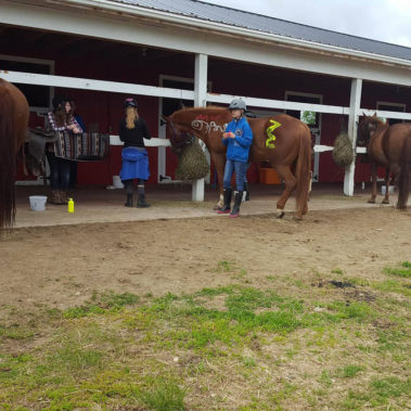 Alaska Horse Ranch Summer Camp