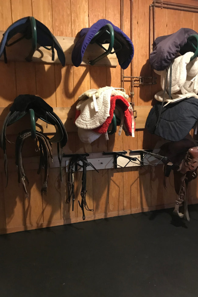 Alaska Horse Ranch Indoor Tack Room