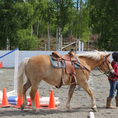 Alaska Horse Ranch Riding Lessons