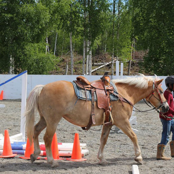 Alaska Horse Ranch Riding Lessons