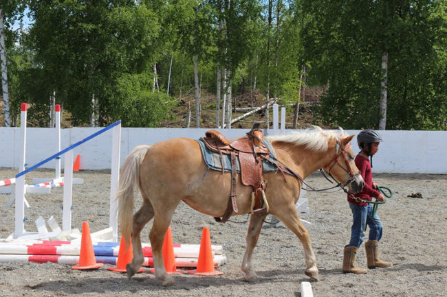 Alaska Horse Ranch Riding Lessons