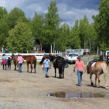 Alaska Horse Ranch Trail Riding