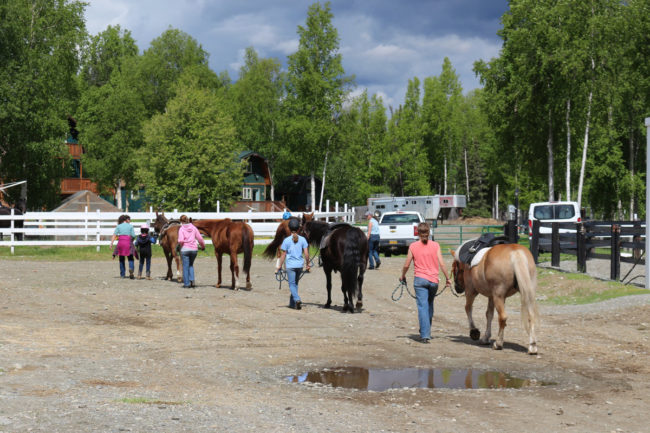 Alaska Horse Ranch Trail Riding