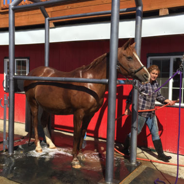 Alaska Horse Ranch Horse Wash Rack
