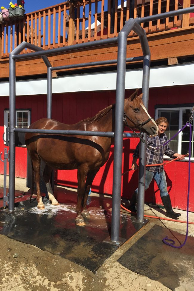 Alaska Horse Ranch Horse Wash Rack