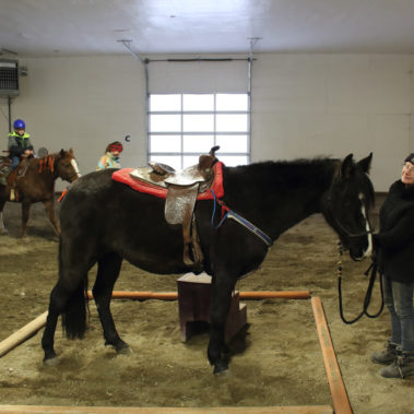 Alaska Horse Ranch Indoor Riding Facility