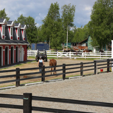 Alaska Horse Ranch Equestrian Center