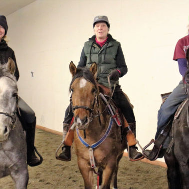 Alaska Horse Ranch Wasilla Alaska