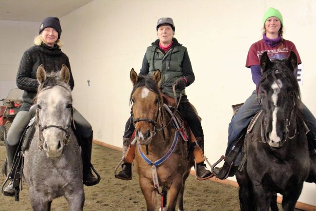 Alaska Horse Ranch Wasilla Alaska