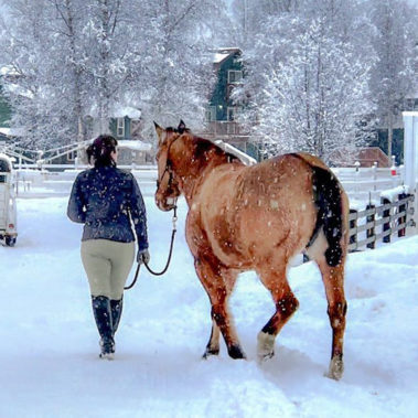 Alaska Horse Ranch Wasilla Alaska Winter Wonderland