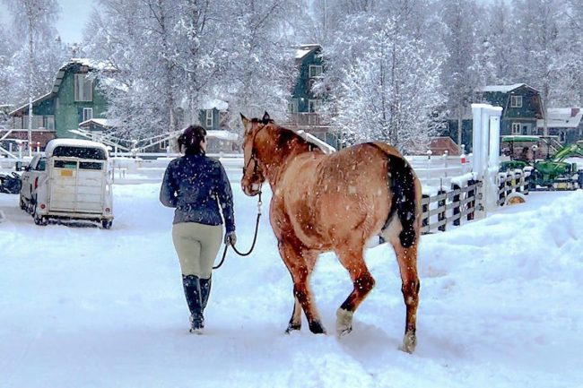 Alaska Horse Ranch Wasilla Alaska Winter Wonderland