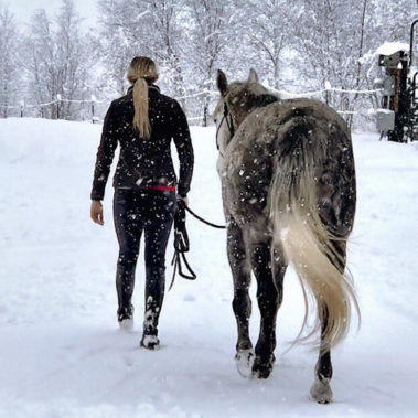 Alaska Horse Ranch Wasilla Alaska Winter Wonderland