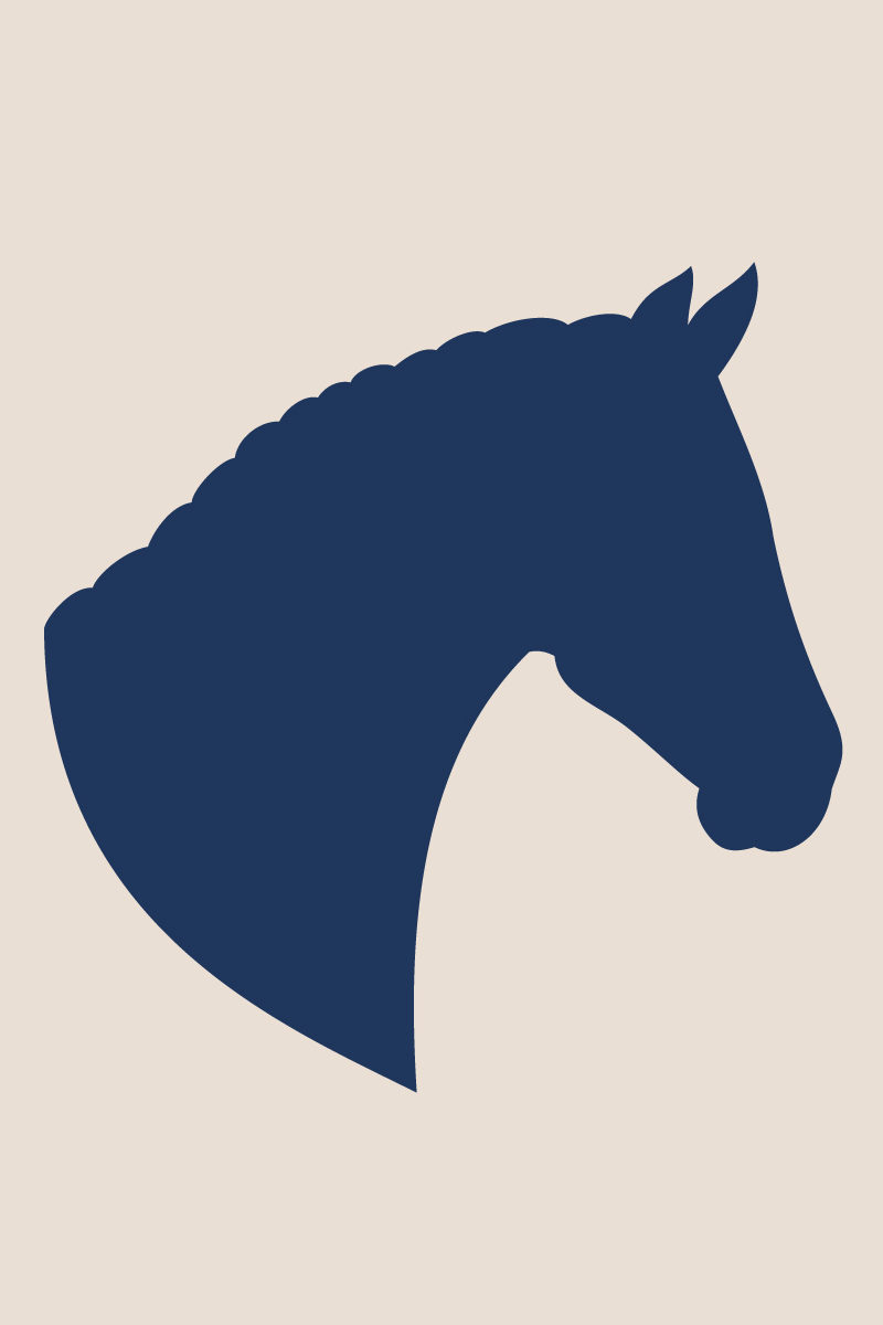 Alaska-Horse-Ranch-Coming-Soon