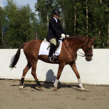 Alaska Horse Ranch Dressage Riding Facility
