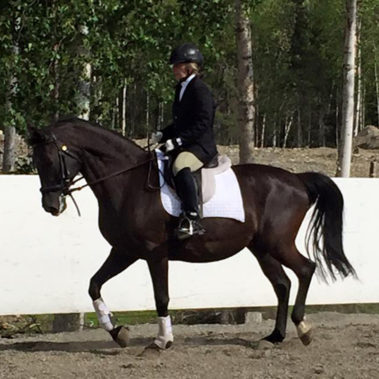 Alaska Horse Ranch Dressage Riding Facility