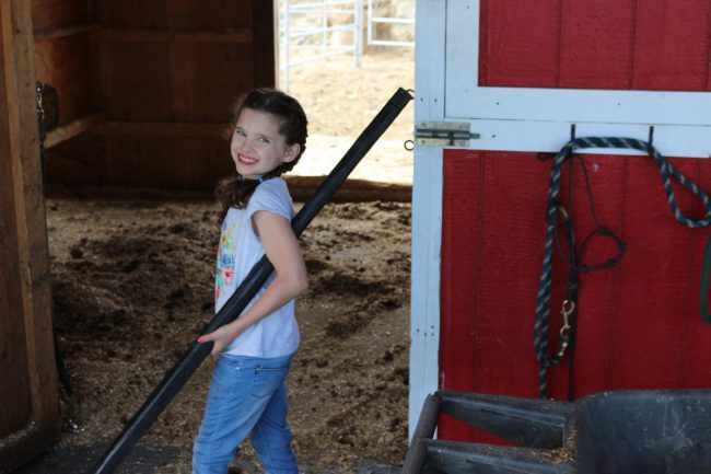 Alaska Horse Ranch Horse Camp Wasilla Alaska