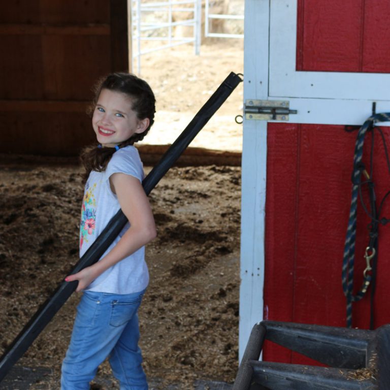 Alaska Horse Ranch Horse Camp Wasilla Alaska