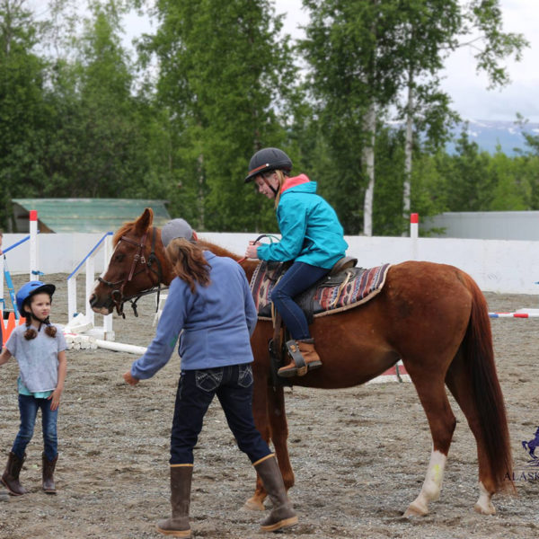 Alaska Horse Ranch Horse Camp Wasilla Alaska