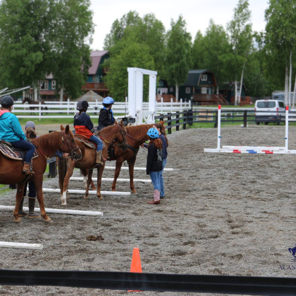 Alaska Horse Ranch Horse Camp Wasilla Alaska
