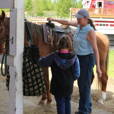 Alaska Horse Ranch Horse Camp Wasilla Alaska