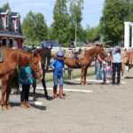 Alaska Horse Ranch Horse Camp Wasilla Alaska