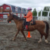 Alaska Horse Ranch Equestrian Center