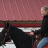 Alaska Horse Ranch Equestrian Center