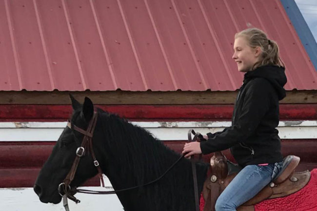 Alaska Horse Ranch Equestrian Center