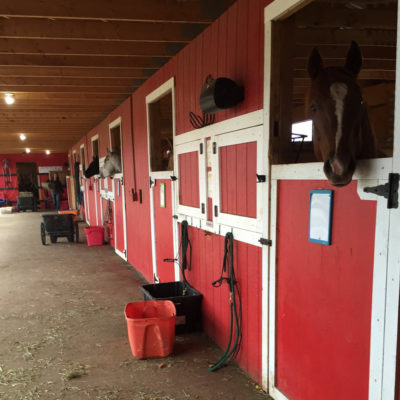 Alaska Horse Ranch Stalls Wasilla Alaska