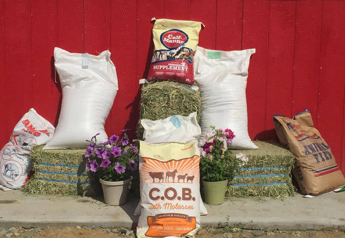 Feed Store Wasilla Alaska Alaska Horse Ranch