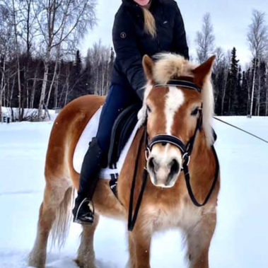 Alaska Horse Ranch Lauren Eaton