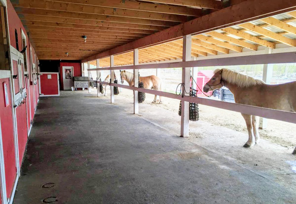 Horse Boarding Wasilla Alaska Alaska Horse Ranch