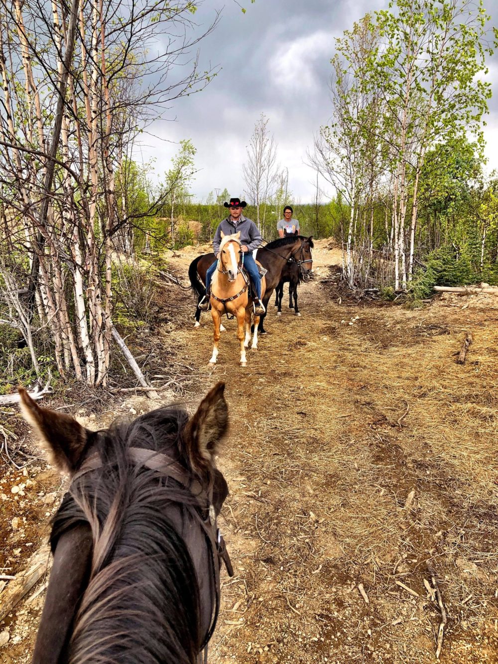 Alaska Horse Ranch Alaska’s Equestrian Playground