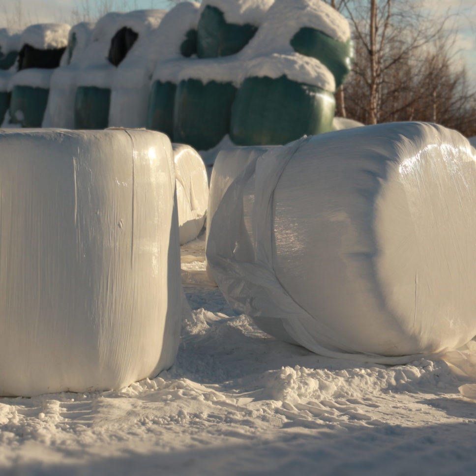 Hay For Sale Near Me A Guide To Locating And Buying Quality Hay