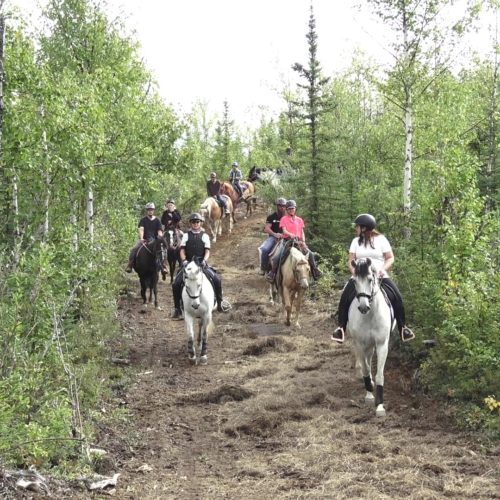 TrailRides TrailRides